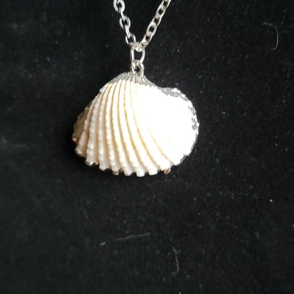 Long shell necklace - Picture 2 of 3